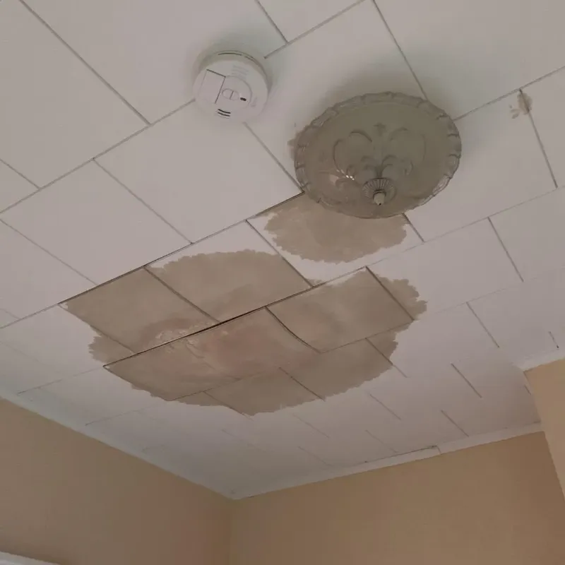 Ceiling Water Damage Repair in Western Lake, TX