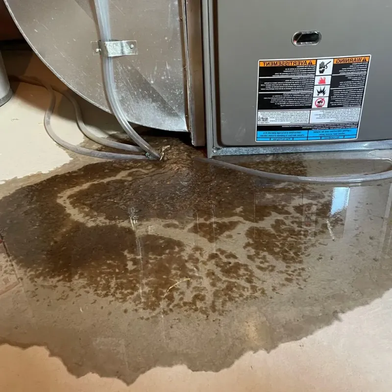 Pipe Burst and Leak Restoration in Western Lake, TX