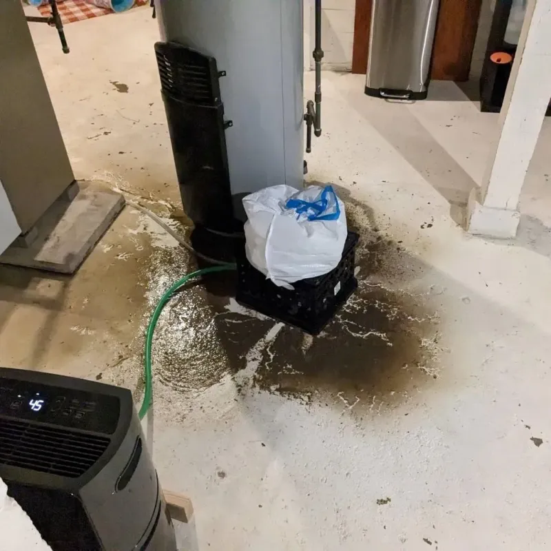 Sewage Backup Cleanup Service in Western Lake, TX